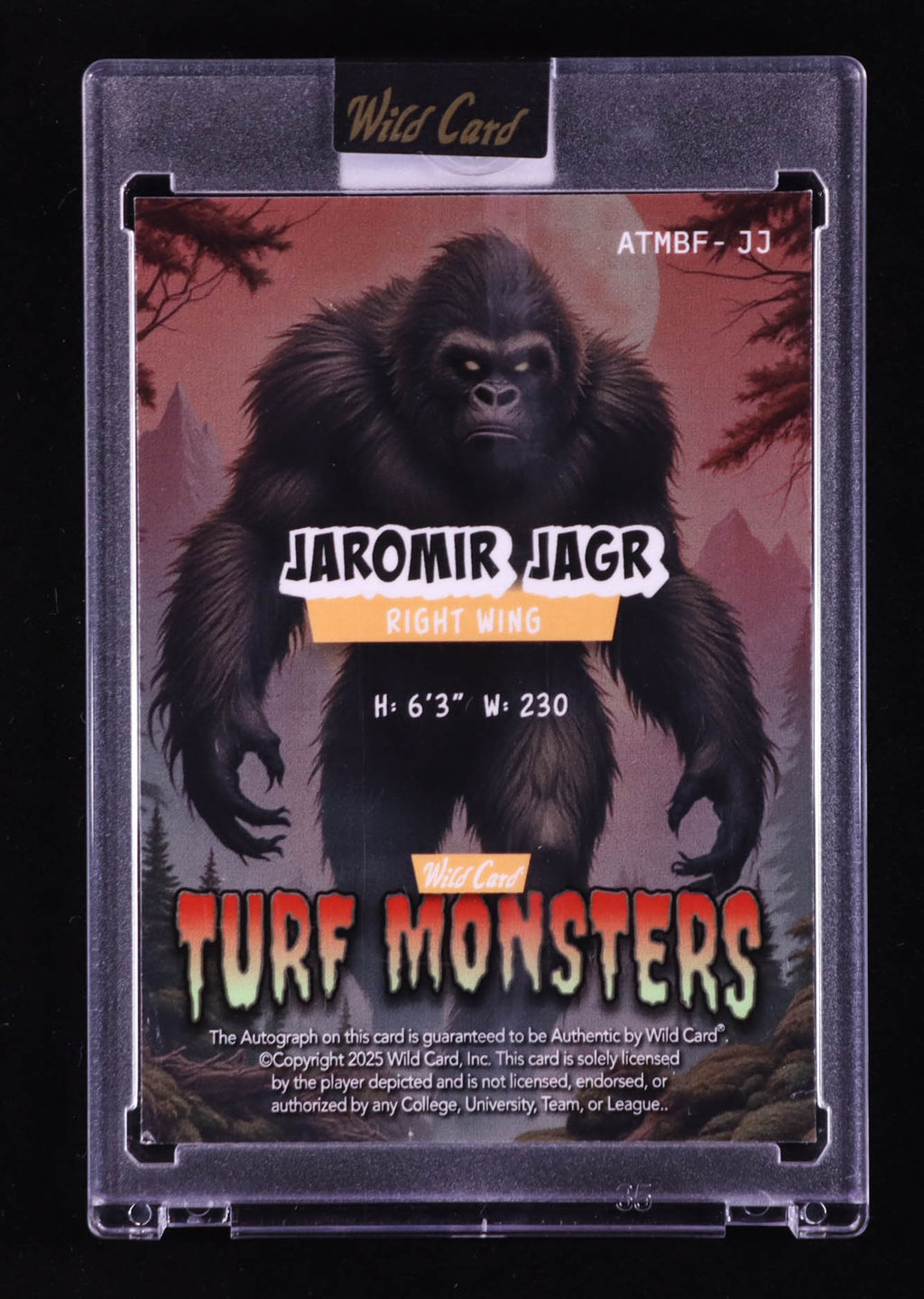 Jaromír Jágr 2025 Wild Card Turf Monsters Autographs – Red Cross Hatch #ATMBFJJ