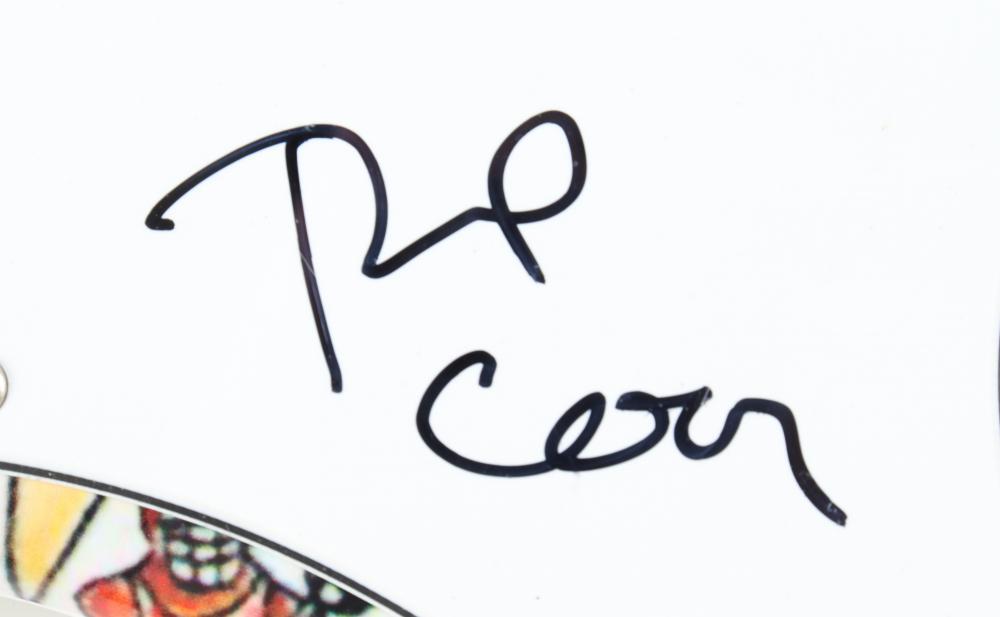 🎸 Green Day Signed Guitar – Authentic Autographs + COA – Rare Collector’s Item